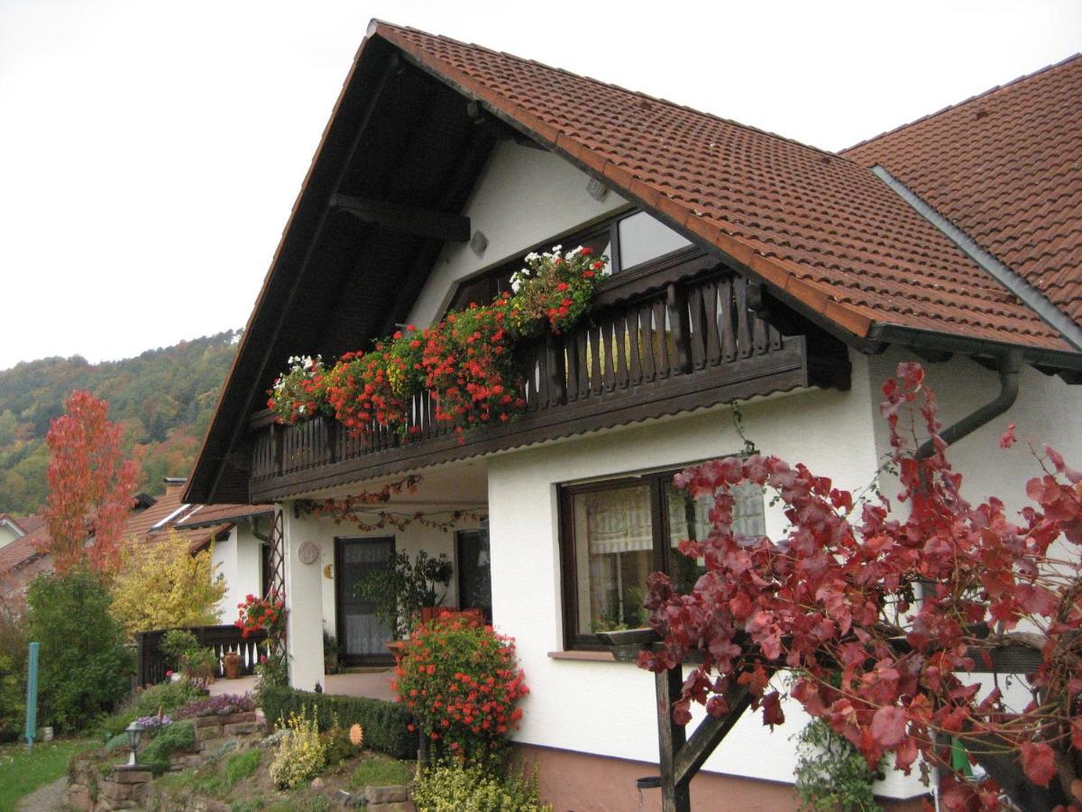 Ferienwohnungen Haus Albert Großheubach 외부 사진