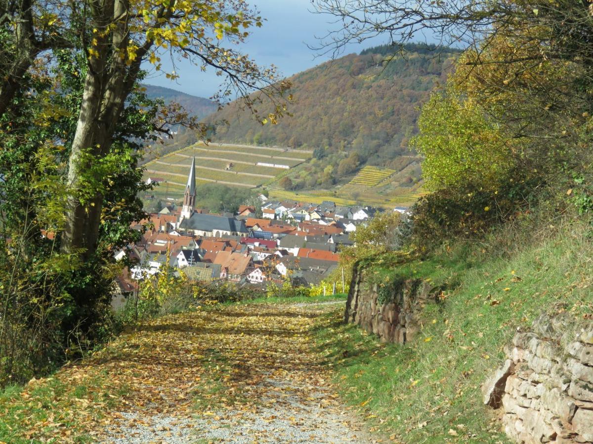 Ferienwohnungen Haus Albert Großheubach 외부 사진