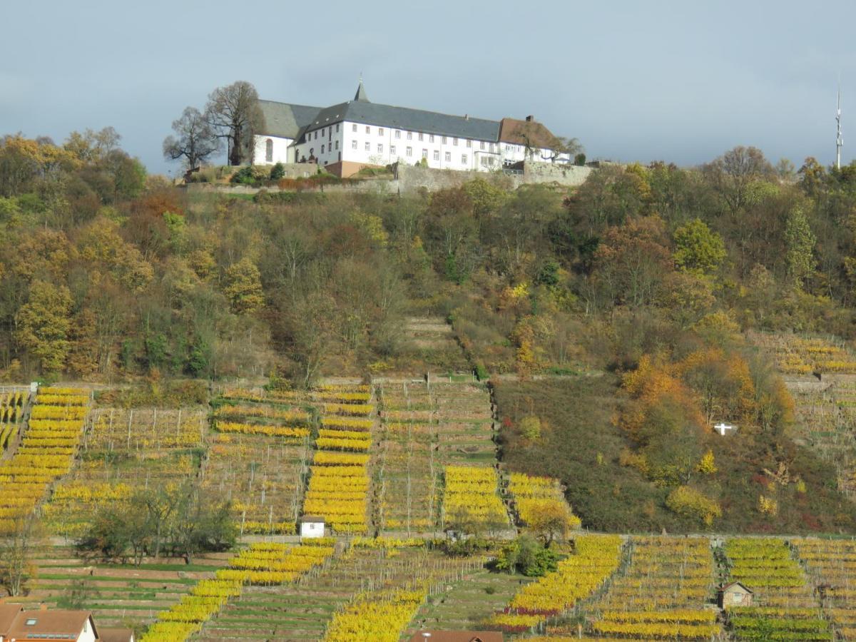 Ferienwohnungen Haus Albert Großheubach 외부 사진
