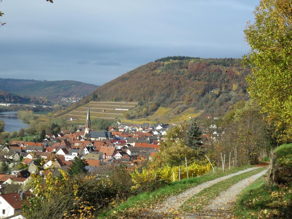Ferienwohnungen Haus Albert Großheubach 외부 사진